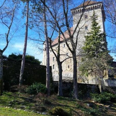 Lodge & Castle - Vue Chateau - Climatisation - Majord'Home Annecy Exterior foto