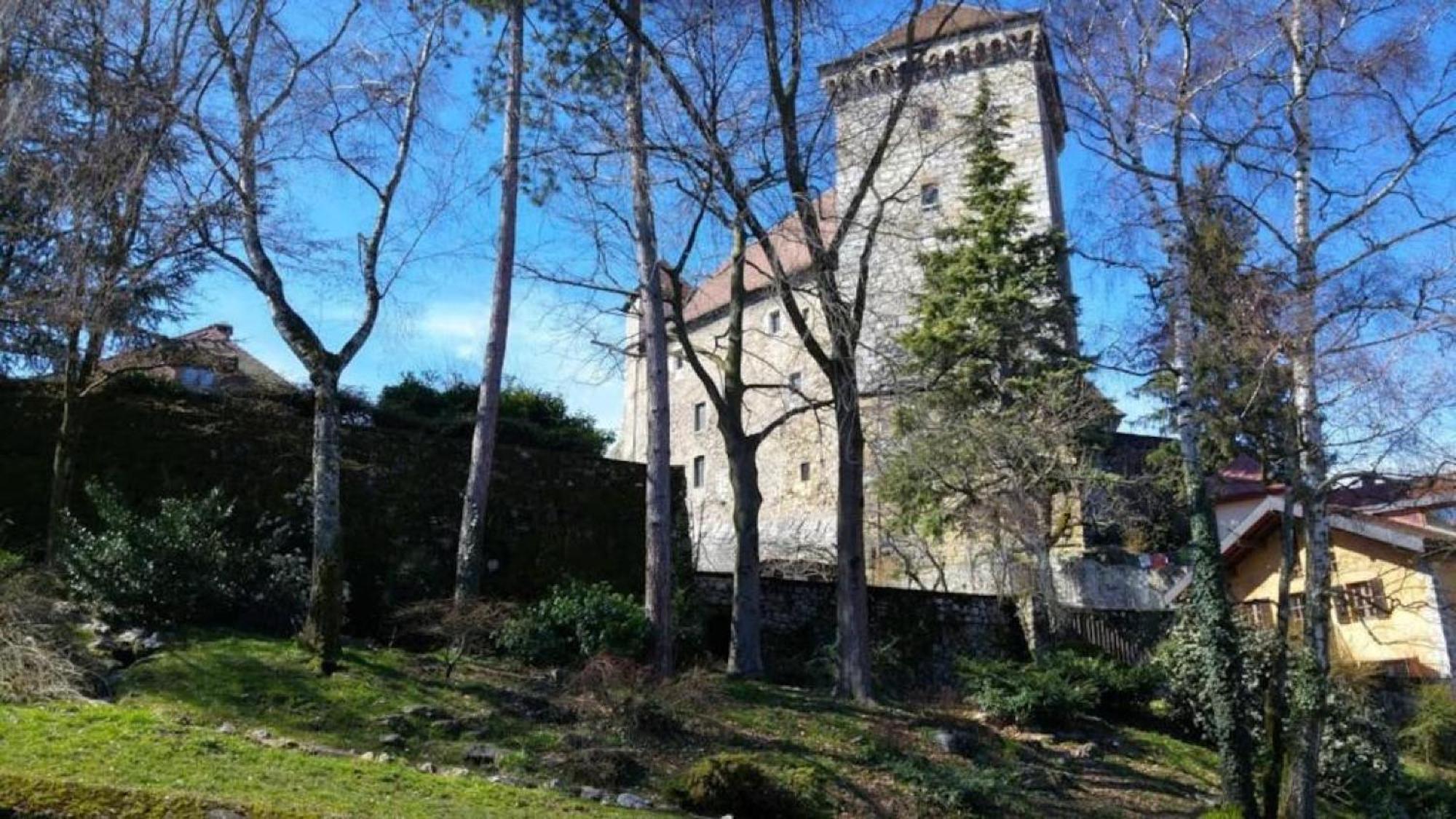 Lodge & Castle - Vue Chateau - Climatisation - Majord'Home Annecy Exterior foto